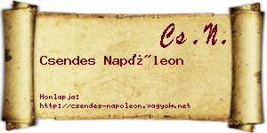 Csendes Napóleon névjegykártya